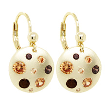 Load image into Gallery viewer, CHAMPAGNE AND RHODOLITE  LEVER BACK EARRINGS
