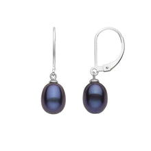 Load image into Gallery viewer, Silver Leaver Back Earring with Single Pearl
